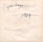 Antique Denmark 1904 Boy On Boat Copenhagen Rare Original Photo