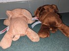 Melissa   Doug  Brown Puppy Plush Stuffed Animal Toy Dogs 9 In