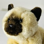 Vintage Siamese Cat 9    Plush Realistic Tan Stuffed Animal Alley Toys R Us 2000