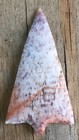 Pasco County Florida Agatized Pre Cambrian Coral Arrowhead Point Artifact 4 5 In