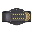 New Intercontinental Championship V2 Replica Title Belt 2mm Brass Adult Size