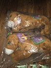 New Girl Scout Brownie Huge Bundle