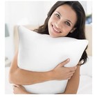 16x16 Waterproof Pillow Inserts Set Of 2 Outdoor Indoor White Cushions