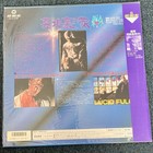 The House Outside Cemetery Laserdisc Ld Japan Lucio Fulci Horror Grail Very Rare