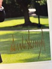 Republican National Committee Donald Trump Signed Photo Wave