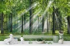 3d Sunlight Forest Summer Wallpaper Wall Mural Removable Self-adhesive Sticker