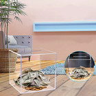5 Inch Clear Acrylic Money Saving Box  Piggy Bank Coin Banknote Box Home D  cor