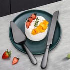 Wedding Cake Knife And Server Set  Integral Stainless Steel Longer Cake Cutter
