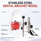 New Dental Simulator Mannequin Head Teeth Model Typodont Model  teeth Mount Pole