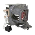 Al    Series Lamp   Housing For The Infocus In119hdg Projector - 90 Day Warranty