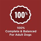 Purina Dog Chow Dry Dog Food  High Protein Complete Adult  Beef Flavor  44 Lb Ba