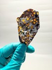 15 7g Sericho Pallasite Meteorite Slice From Kenya With A Certificate