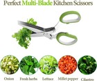 Herb Scissors Set With 5 Blades And Cover - Multipurpose Kitchen Herb Shear