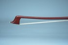Us Fedex Free Shipping an Advanced Brazilwood 4 4 Cello Bow  Best For Practice 