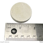 5 Large Cured Frag Discs For Live Coral Propagation