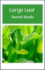Large Leaf Sorrel Herb Seeds   Non-gmo   Heirloom   Fresh Herb Seeds