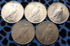 Peace Dollars 1921-1935 Lot Of 5 Uncirculated 90  Sil Ver Coin Mixed Year Us