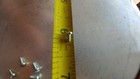 16 Ea  Schwinn Head Badge Screws  That s 8 Sets  Best Price Period   12 00