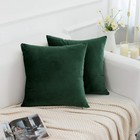 Rainroad Velvet Decorative Throw Pillow 18  X  pack Of 2   Dark Green 