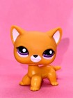 Lps Hasbro Blind Bag Orange Shorthair Cat  2433 - Authentic Littlest Pet Shop