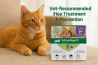      Advantage Ii For Large Cats  9 Lbs   Over      6 Doses  Flea Prevention     Free