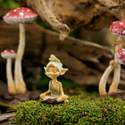 Miniature Fairy Garden And Terrarium Pixie Meditating With Frog Figurine