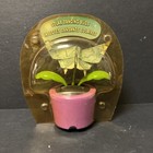 New Solar Powered Dancing Toy Bobblehead - Us Dollar Bill Butterfly Flower Pot