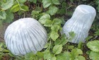 Mushroom Mold 2 Piece Tilted Shroom Mould 8 h X 6 75 w In Total Size