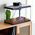 Us 10 Gallon Glass Aquarium Starter Kit Led Lighting Filtration System Fish Tank