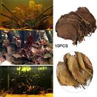 10pcs Catappa Indian Almond Leaves Ketapang Leaf Shrimp Betta Fish New Care Us