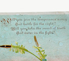Vintage Temperance Army Invitation To Join 1880s 1890s