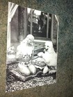 Madonna Versace Fashion Ad Rare 6-fold W  Photos  2-sided  Pics By Steve Meisel