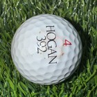 Warwick Hills Golf Course   Country Club Logo Golf Ball Grand Blanc Mi