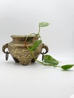 Late 19th Century Antique Chinese Dragon Brass Pot Planter 820g