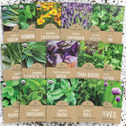 Organic Herb Seeds Variety Pack - 16 Individual Packs - 2025 Season - Basil     