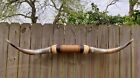Xlg Mounted Steer Bull Horns Cow Boy Horn Longhorns 4  Ft 58  Tip To Tip Long