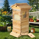 Auto Honey Bee Hives House Boxes Mini Hives With 10x Bee Hive Frames Beekeeping