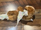 Sleepy Time Bear Vintage 1985 Fisher Price 13 In  teddy Beddy Bear 