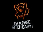 20 x16 i m A Free Bitch Baby Neon Sign Light Home Room Wall Decor Visual Artwork