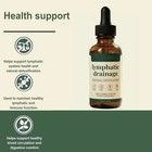 Lymphatic Drainage Drops Natural Herbal Lymph Support Liquid For Body Swelling