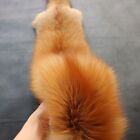 1 Piece Tanned Natural Real Red Fox Skin Fly Tying Crafts Pelt Hides 40-42 Inch