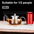 Clear Glass Tea Pot With Steel Infuser Leaf Teapot Stovetop Safe 20oz 600ml