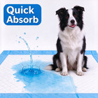 Pet Pee Pads Puppy Training Pads Leak Proof Disposable Potty Pads For Dogs Cats