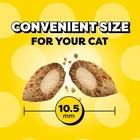 Temptations Wacky Blasts Premium Cat Treats  Cluckin    Bacon Flavor  16 Oz  Tub