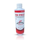 Koi Prazi Liquid Fluke Destroyer For Fish Ponds   Aquariums  16 Ounces 