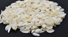8 Oz  1500  Very Tiny White Coquina Micro Shells  1 4   Beach Arts Crafts