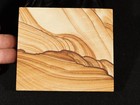 Picture Stone Or Sandstone Slice slab With Display Stand Utah 258gr