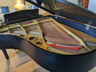Yamaha C5 6  6  Grand Piano