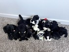Mixed Lot Black Plush Stuffed Animals Cats Dogs Small 6-14 In
