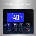 Usa Commercial 220v 60hz 15 Trays Blast Chiller Freezer   Lowest Temp  -40  f